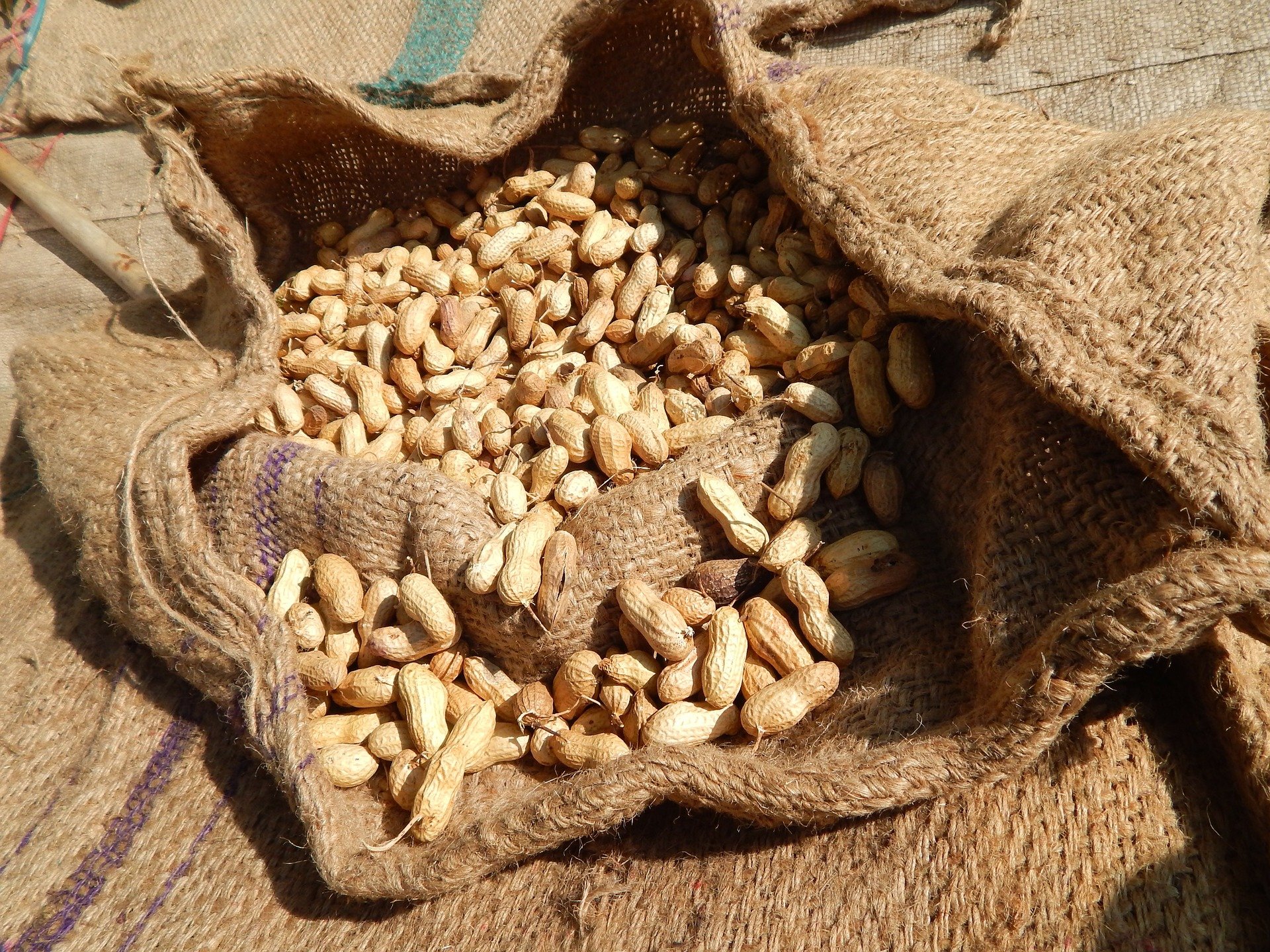 Bag of Peanuts