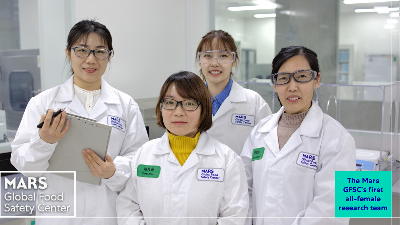 Meet the Mycotoxin Team