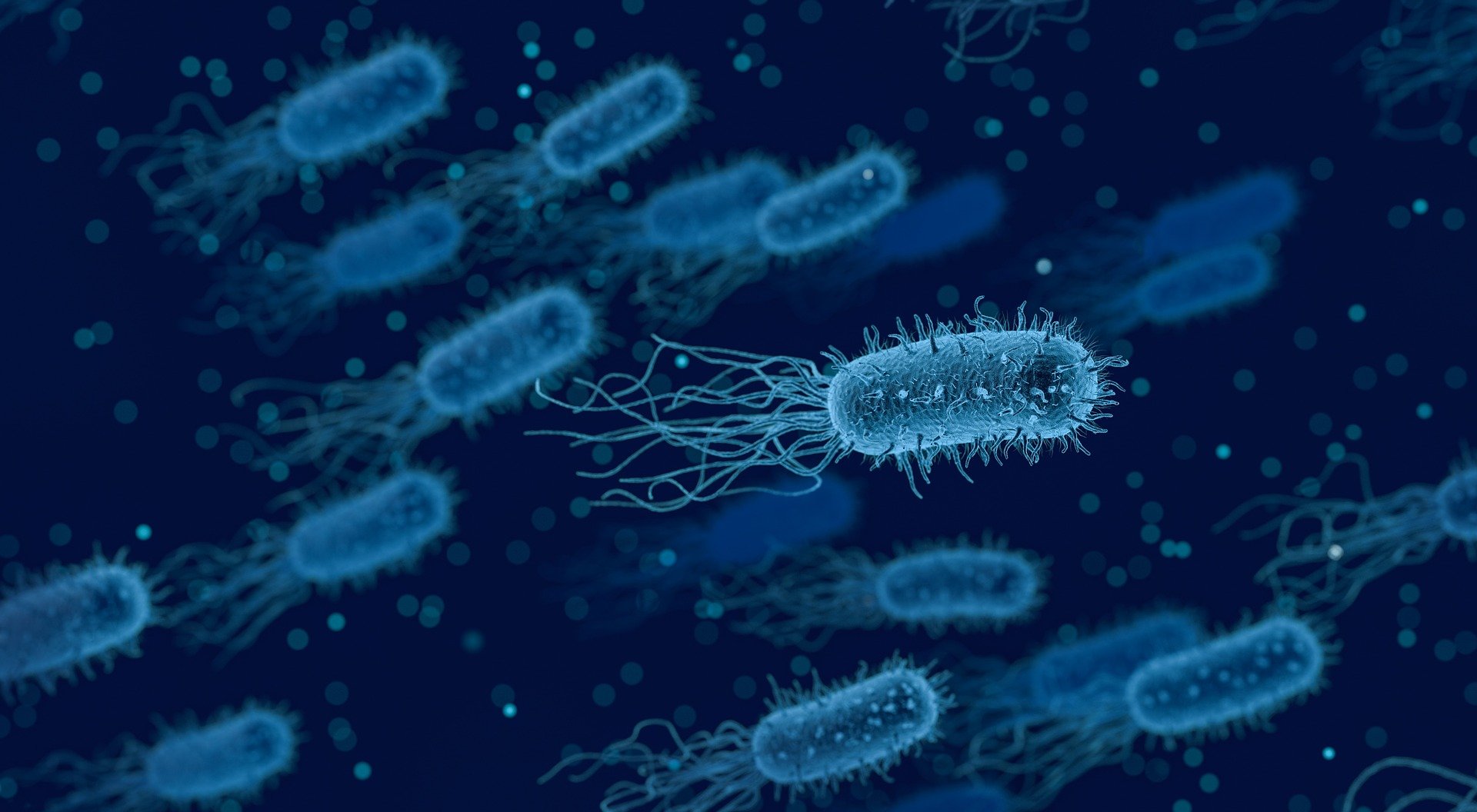 Pathogen