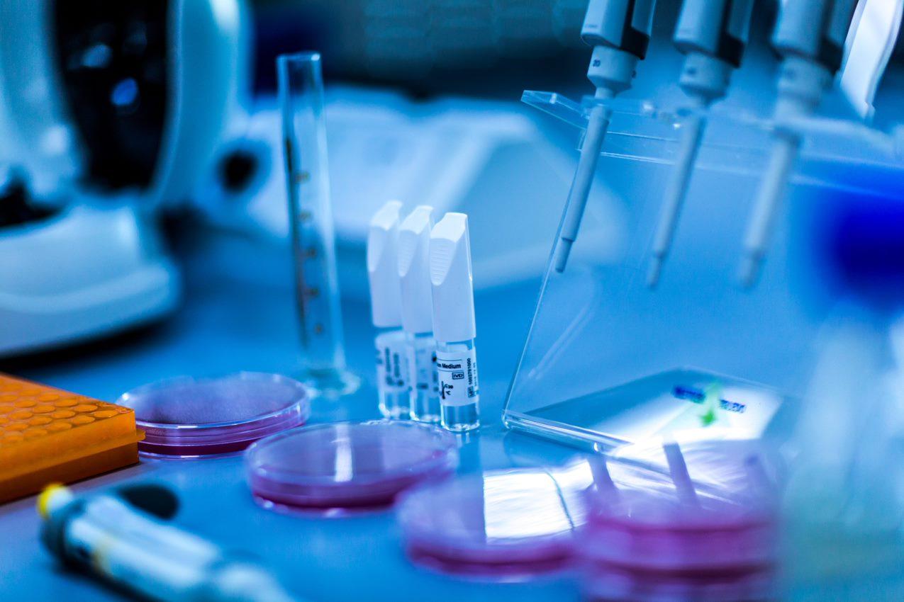 Assessment and Comparison of Molecular Subtyping