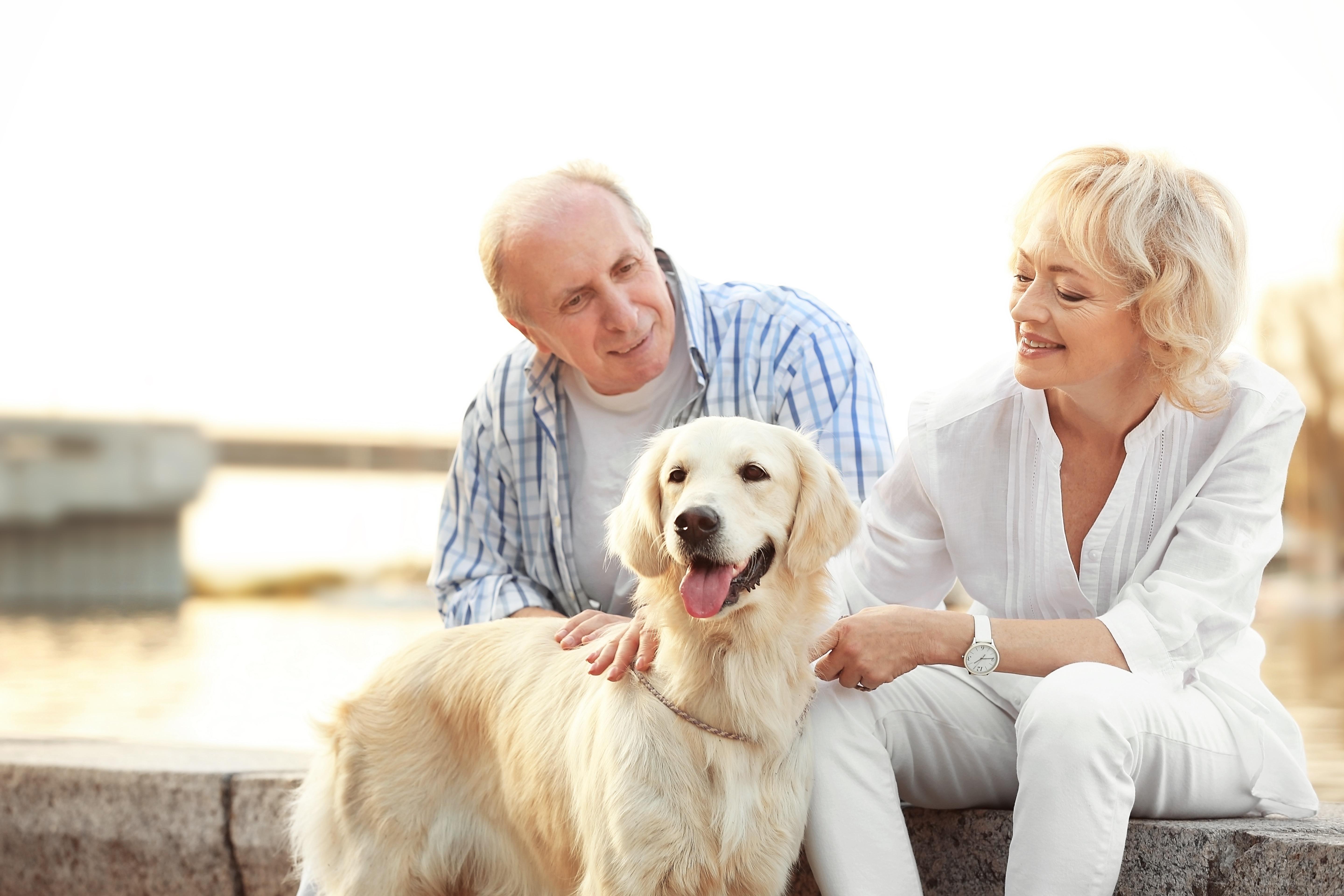 /sites/g/files/jydpyr776/files/styles/crop_freeform/public/2020-05/petcare_gsa_partner_-_hero_image_option_2.jpg?itok=GoziWrwy
