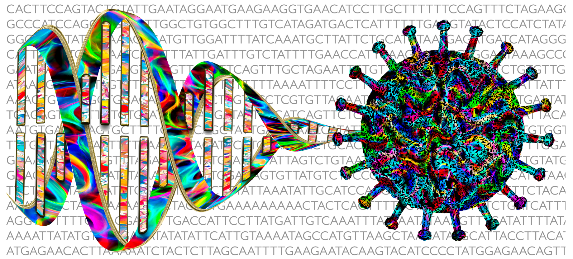 Microbiome Image